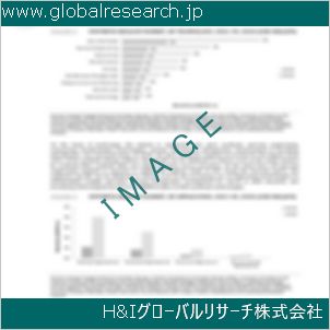 グローバルリサーチ調査資料のイメージ